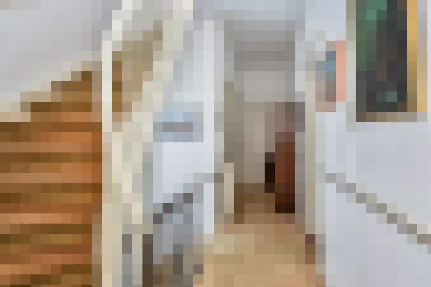 Jozef Israëlslaan 38 Den Haag thumbnail 39