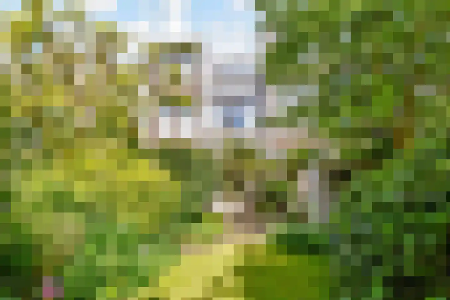 Jozef Israëlslaan 38 Den Haag thumbnail 5