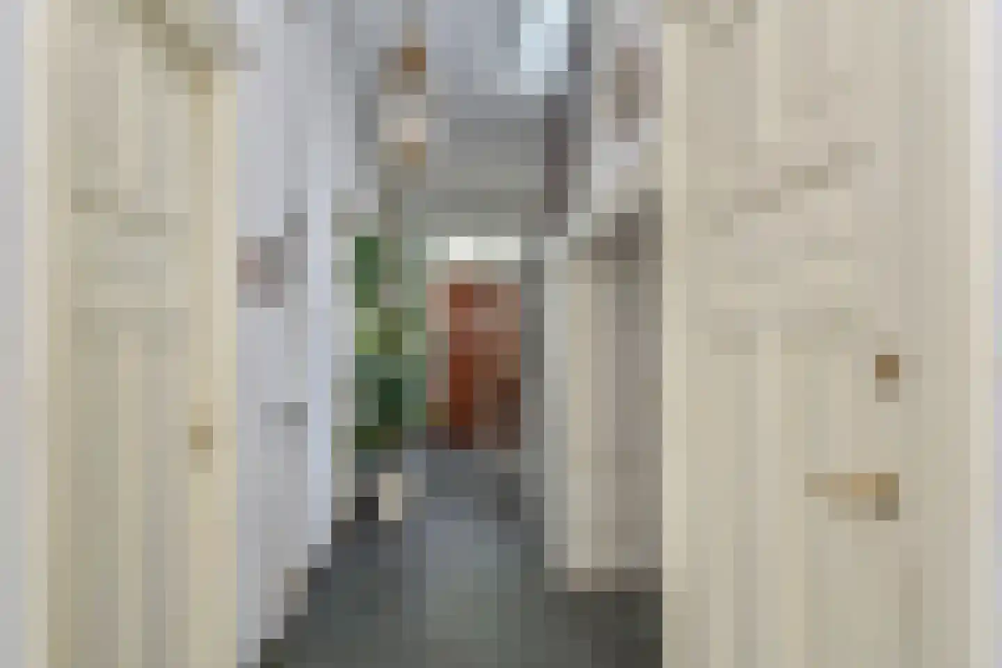 Jozef Israëlslaan 38 Den Haag thumbnail 8