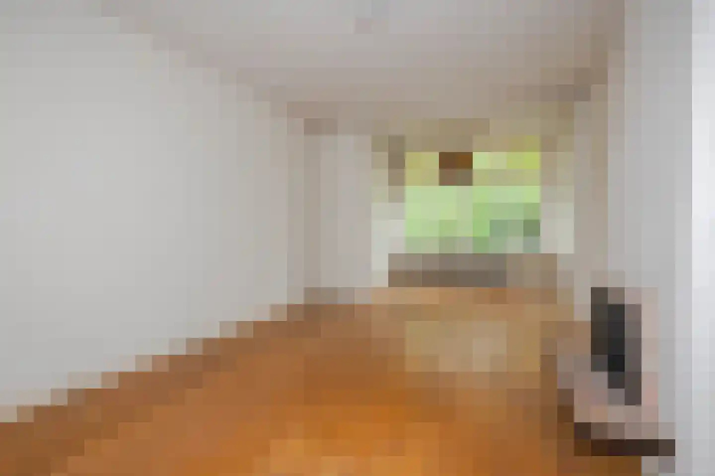 Jozef Israëlslaan 44 Den Haag thumbnail 34