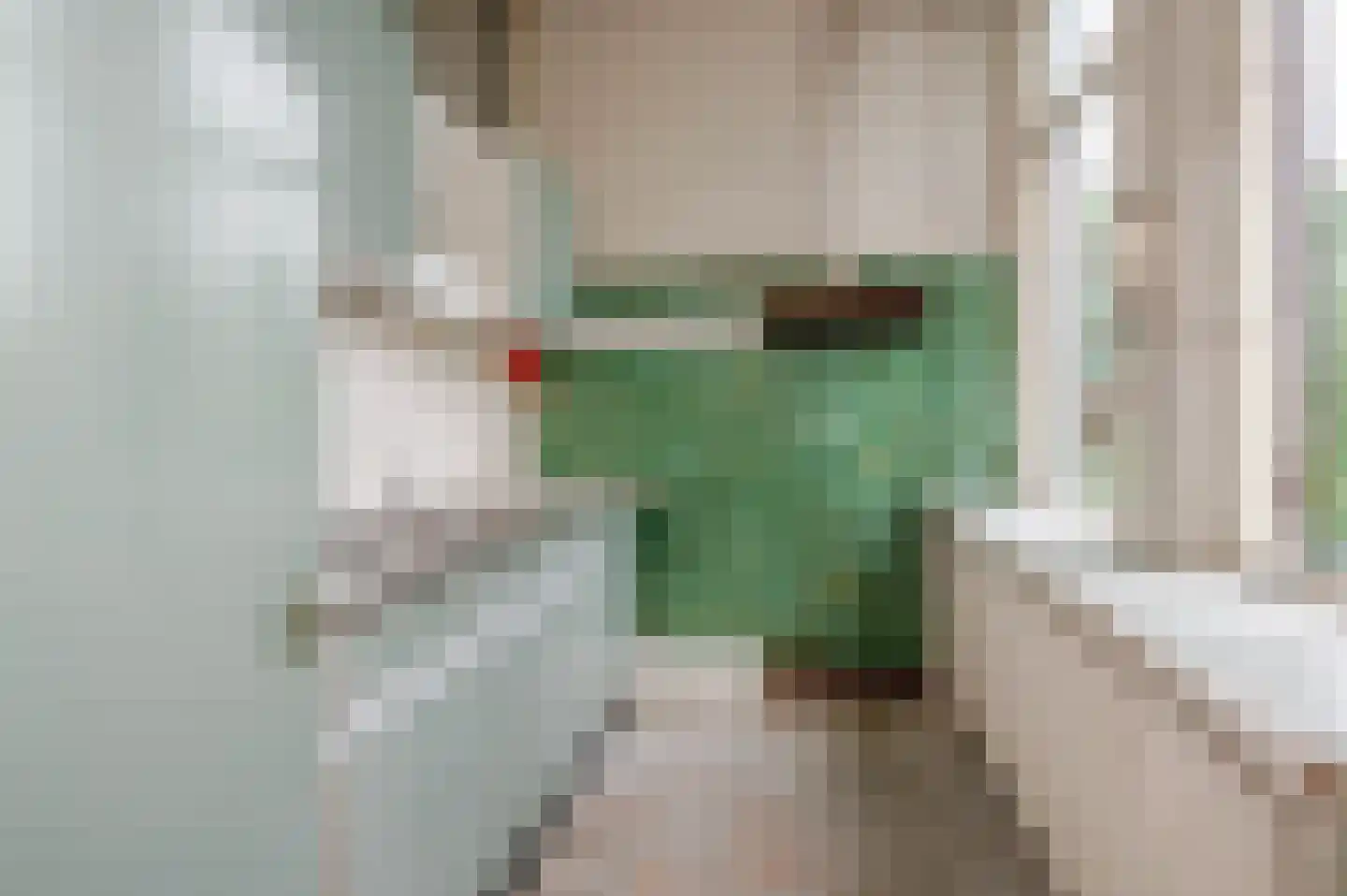 Jozef Israëlslaan 44 Den Haag thumbnail 36