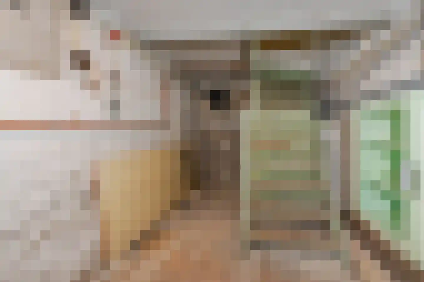 Jozef Israëlslaan 44 Den Haag thumbnail 66