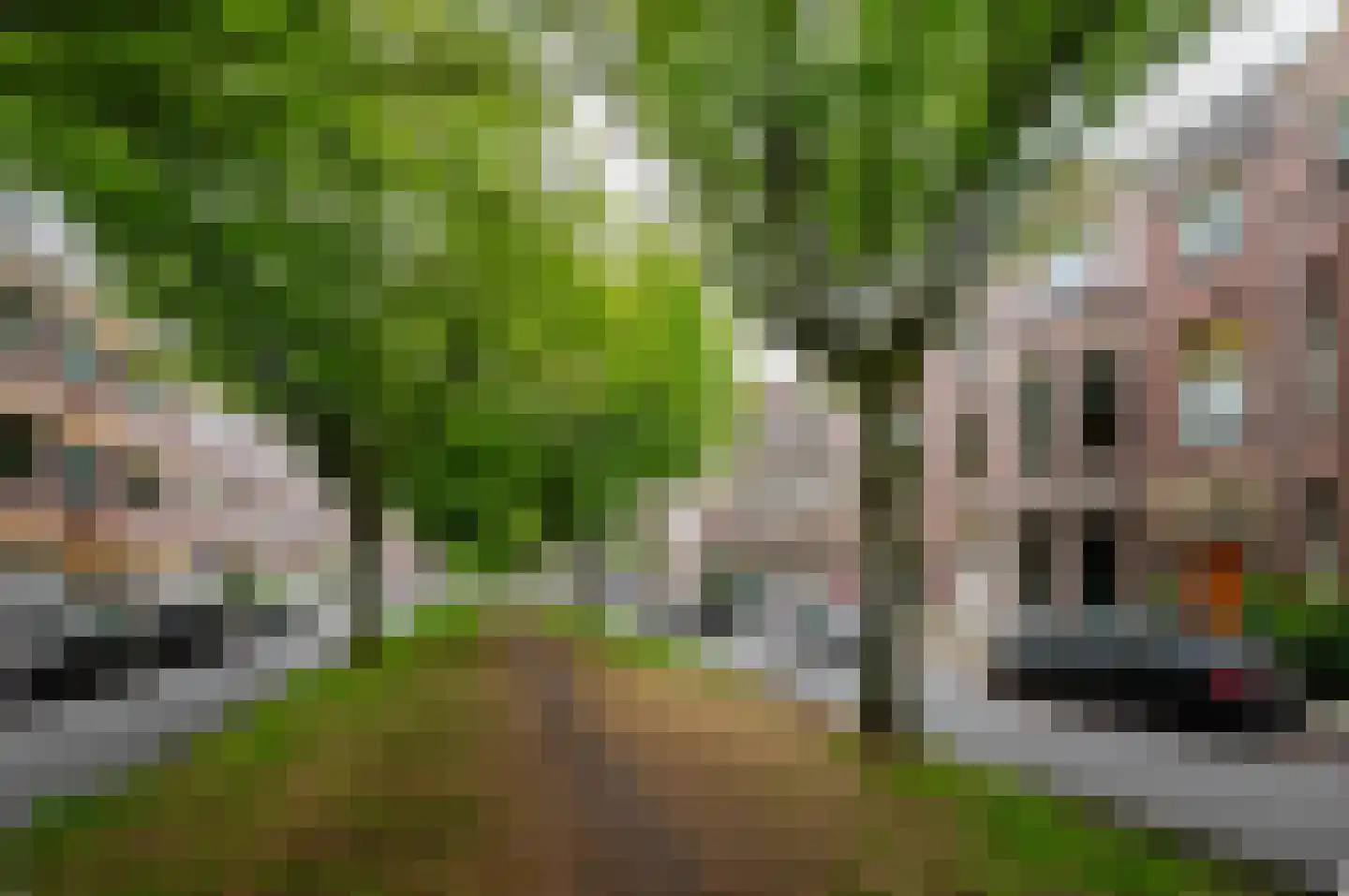 Jozef Israëlslaan 44 Den Haag thumbnail 71