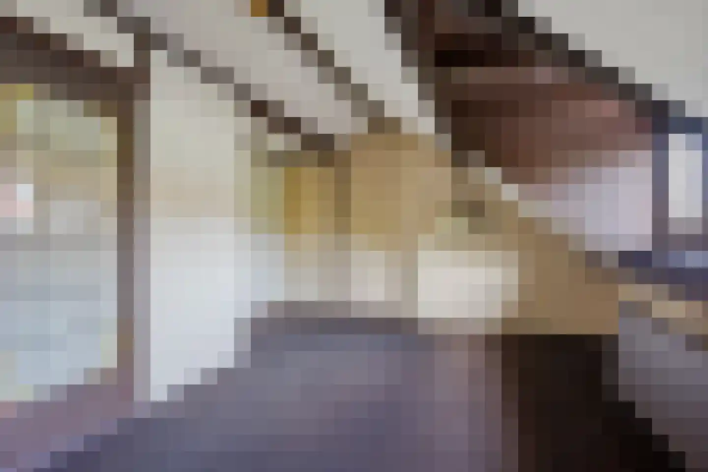 Jozef Israëlslaan 50 Rijswijk thumbnail 39
