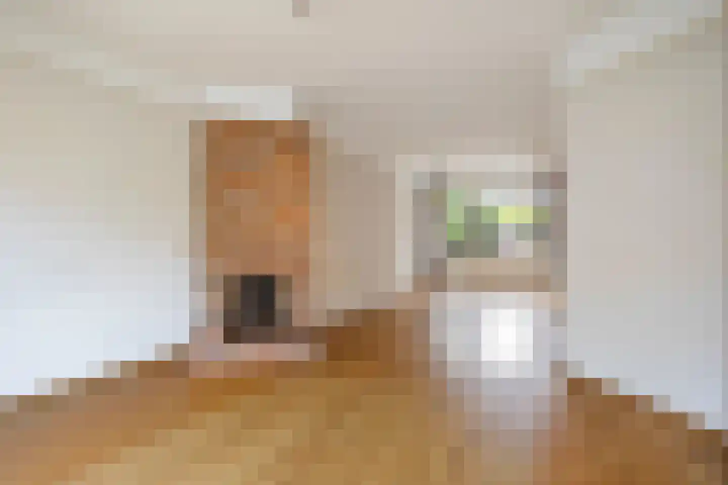 Jozef Israëlslaan 50 Rijswijk thumbnail 6