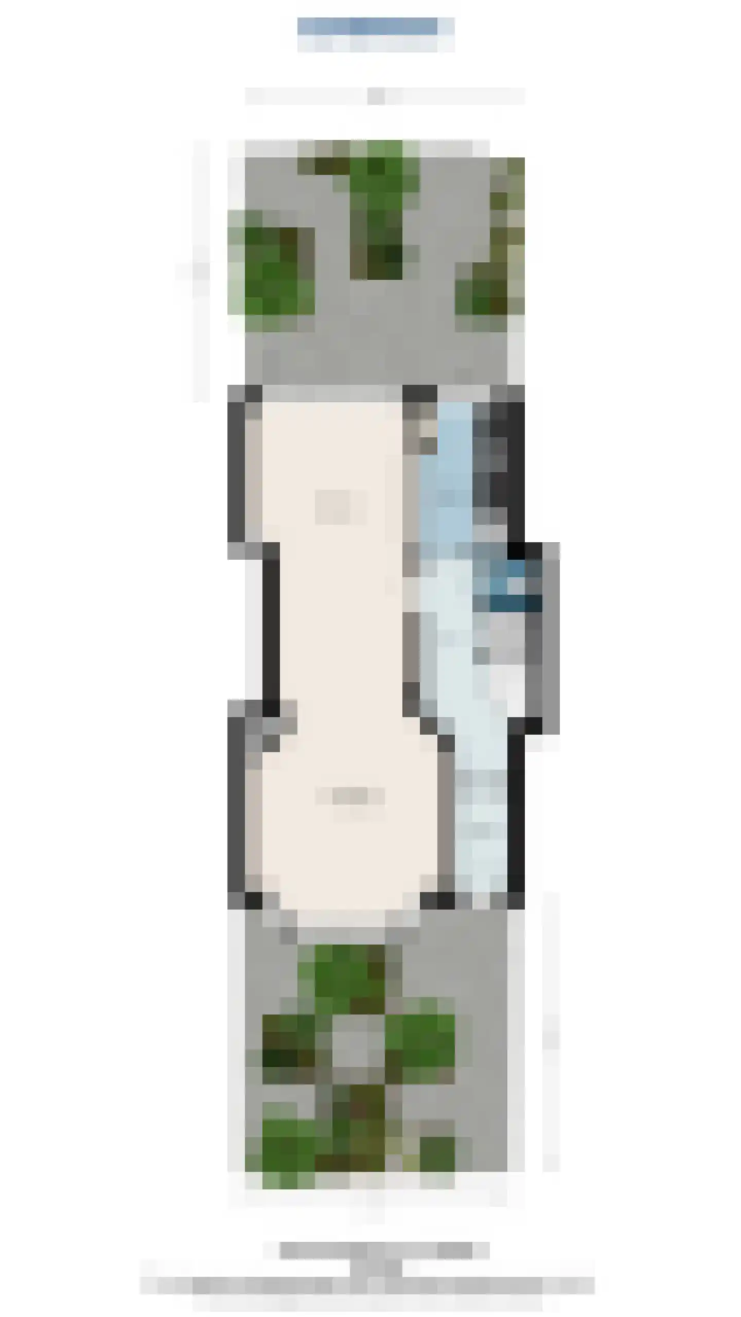 Jozef Israëlslaan 50 Rijswijk thumbnail 65