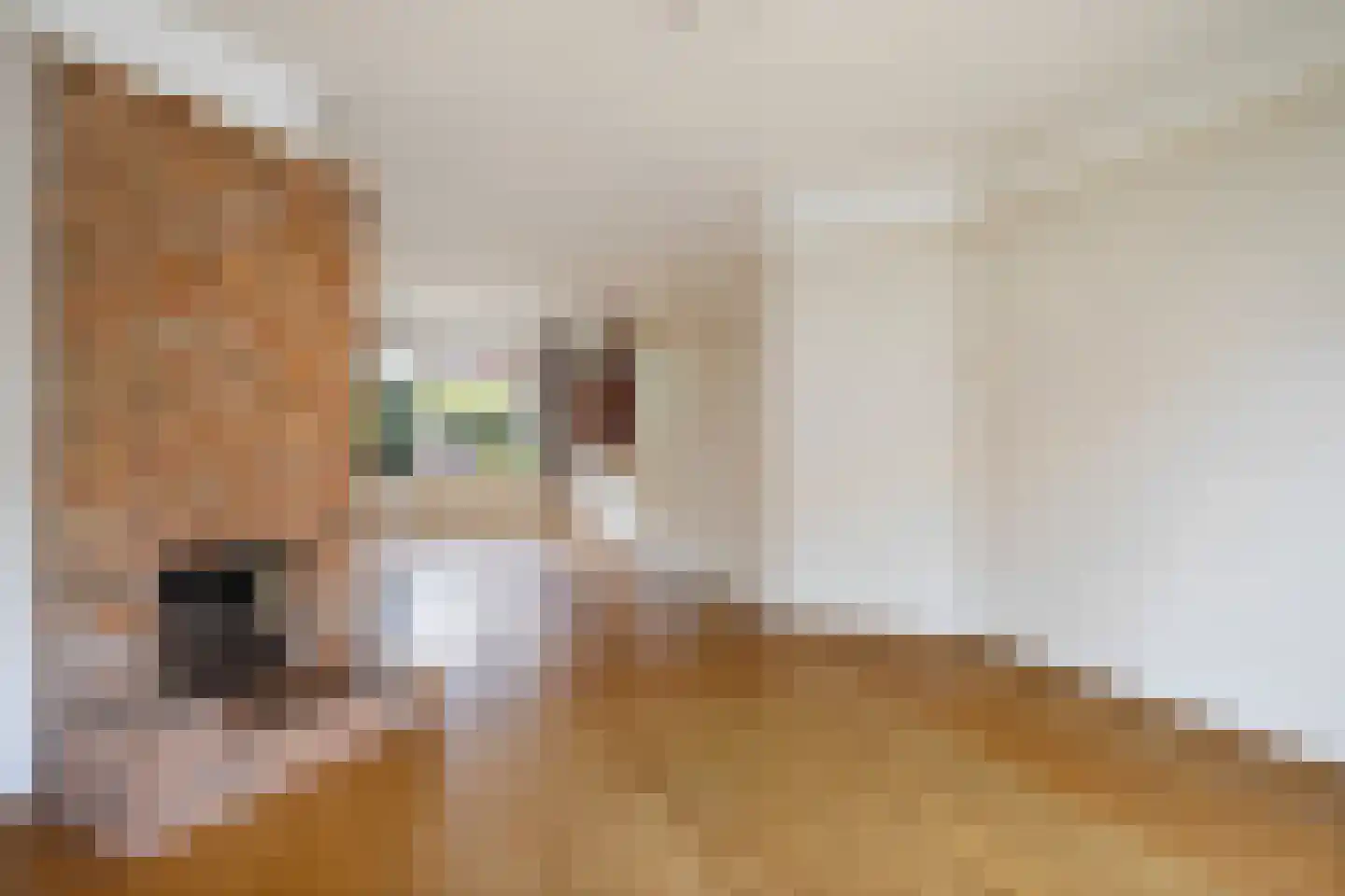Jozef Israëlslaan 50 Rijswijk thumbnail 7