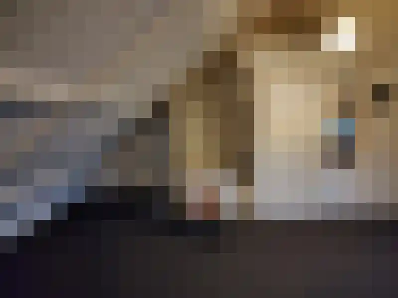 Jozef Israëlslaan 6 Eindhoven thumbnail 12