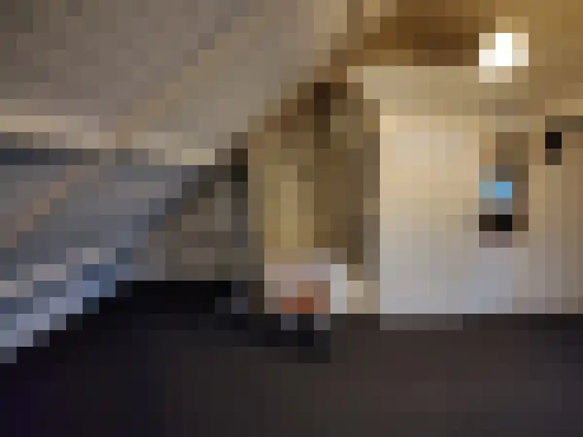 Jozef Israëlslaan 6 Eindhoven thumbnail 6