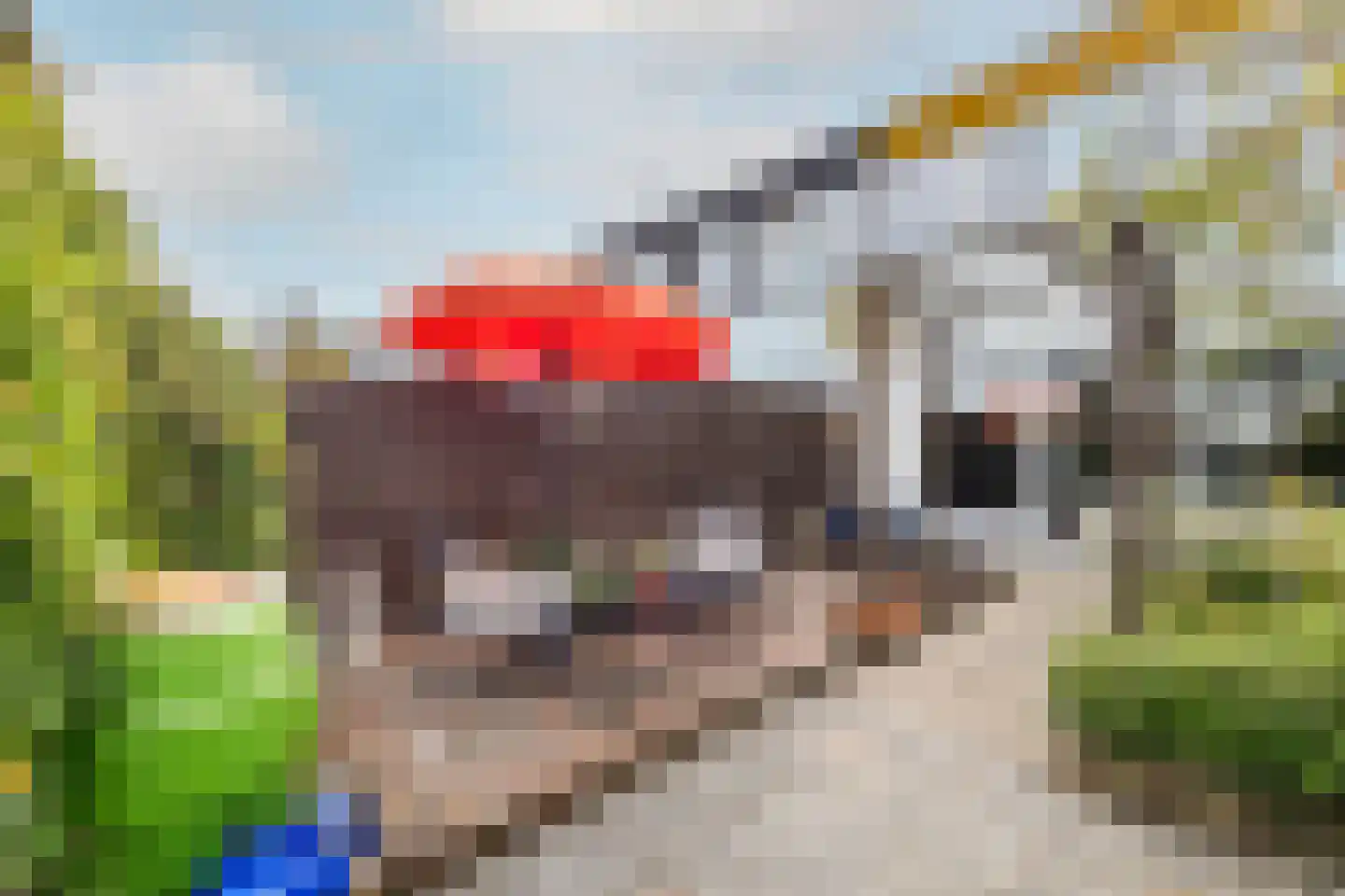 Jozef Israelslaan 61 Vlissingen thumbnail 21