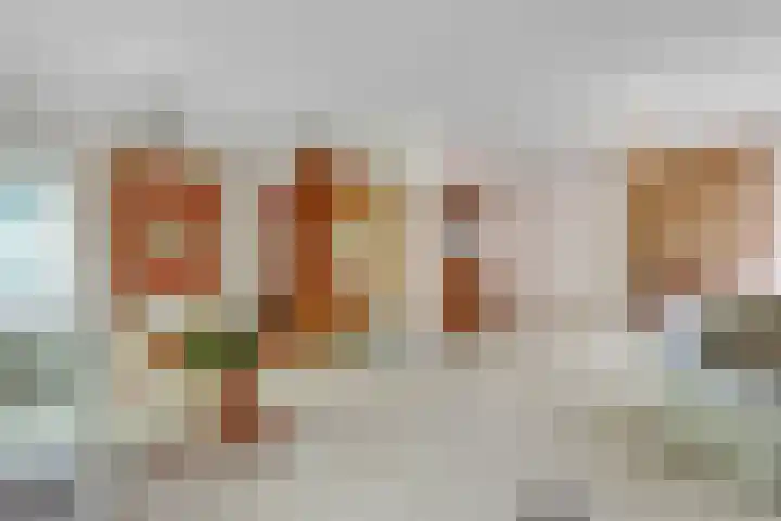 Jozef Israëlslaan 7 Bosch en Duin thumbnail 10