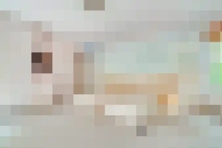 Jozef Israëlslaan 7 Bosch en Duin thumbnail 18