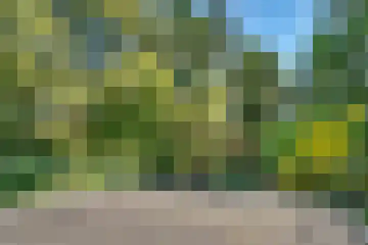 Jozef Israëlslaan 7 Bosch en Duin thumbnail 28