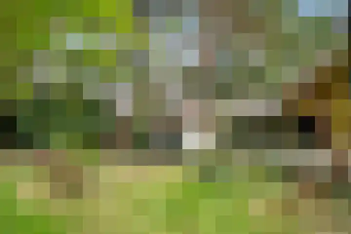 Jozef Israëlslaan 7 Bosch en Duin thumbnail 30