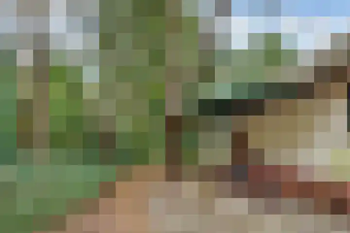 Jozef Israëlslaan 7 Bosch en Duin thumbnail 31