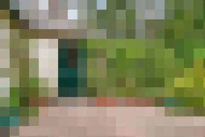 Jozef Israëlslaan 7 Bosch en Duin thumbnail 32