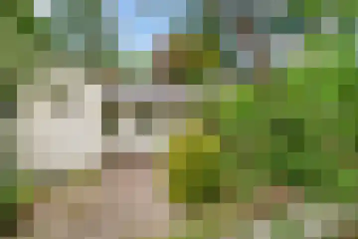 Jozef Israëlslaan 7 Bosch en Duin thumbnail 34