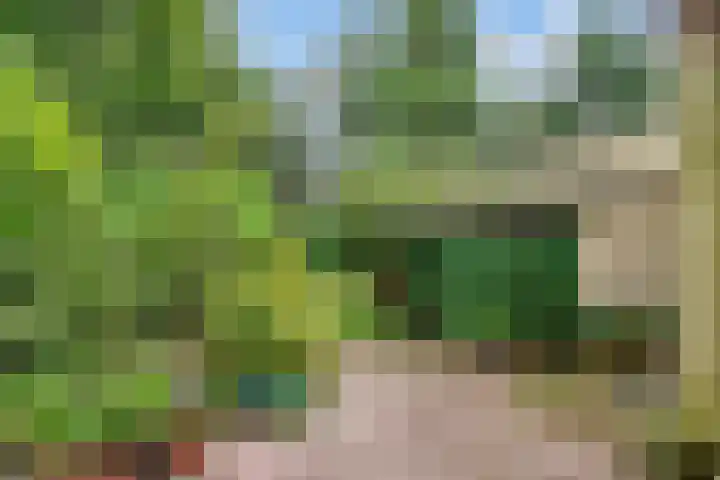 Jozef Israëlslaan 7 Bosch en Duin thumbnail 35
