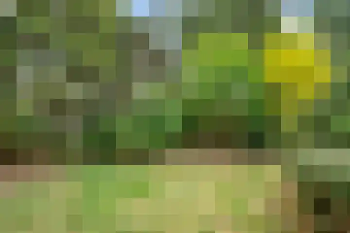 Jozef Israëlslaan 7 Bosch en Duin thumbnail 36