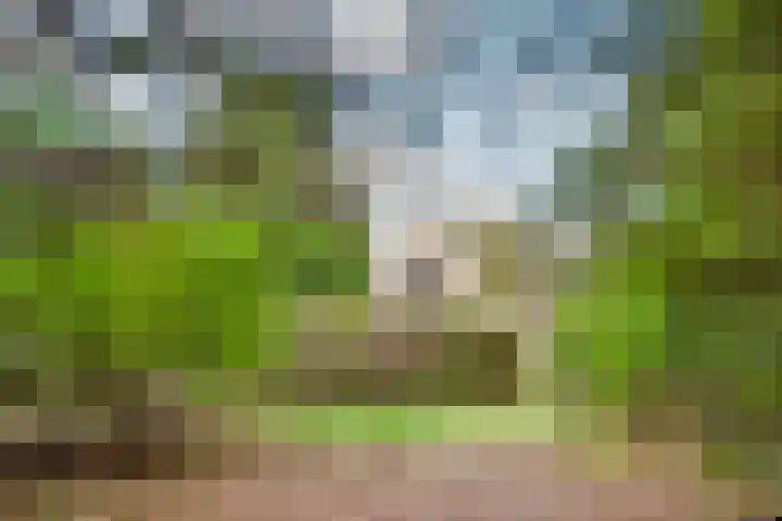 Jozef Israëlslaan 7 Bosch en Duin thumbnail 37