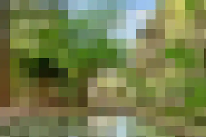 Jozef Israëlslaan 7 Bosch en Duin thumbnail 38