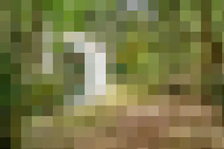 Jozef Israëlslaan 7 Bosch en Duin thumbnail 39