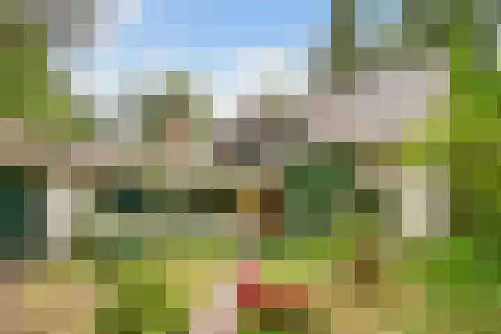 Jozef Israëlslaan 7 Bosch en Duin thumbnail 4