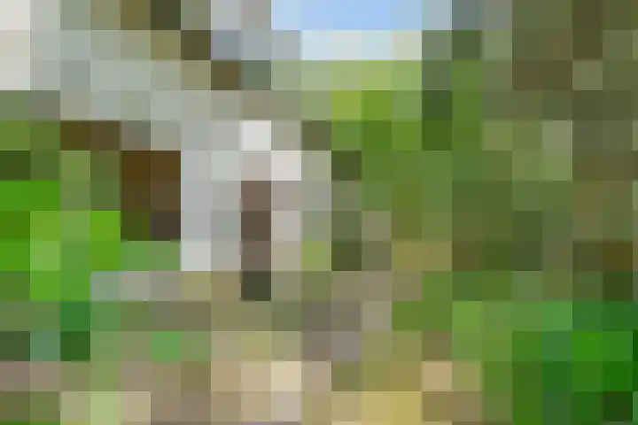 Jozef Israëlslaan 7 Bosch en Duin thumbnail 40