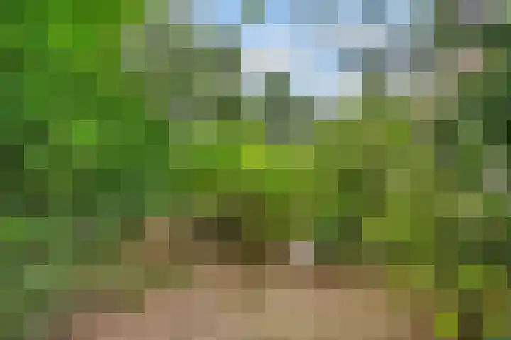 Jozef Israëlslaan 7 Bosch en Duin thumbnail 42