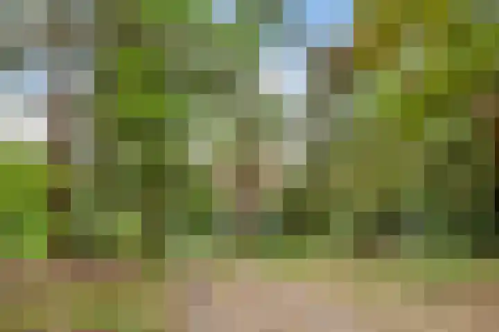 Jozef Israëlslaan 7 Bosch en Duin thumbnail 44