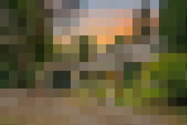 Jozef Israëlslaan 7 Bosch en Duin thumbnail 53