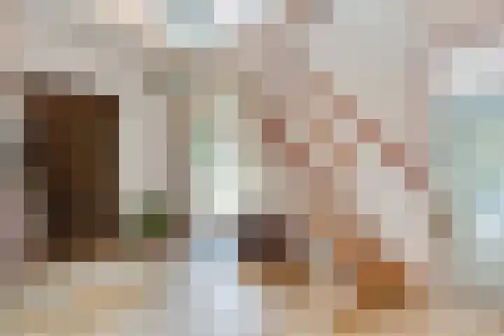 Jozef Israëlslaan 7 Bosch en Duin thumbnail 6