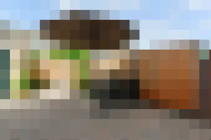 Jozef Israëlslaan 7 Nederhorst den Berg thumbnail 11