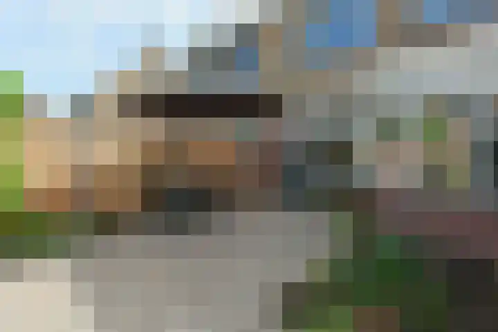 Jozef Israëlslaan 7 Nederhorst den Berg thumbnail 12