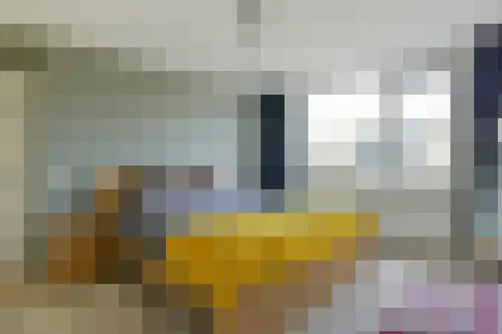 Jozef Israëlslaan 7 Nederhorst den Berg thumbnail 18