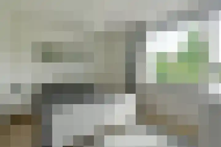 Jozef Israëlslaan 7 Nederhorst den Berg thumbnail 19