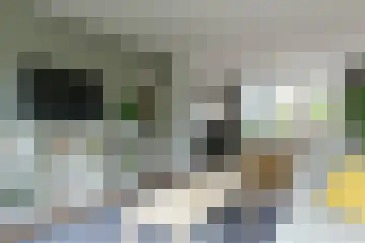 Jozef Israëlslaan 7 Nederhorst den Berg foto 3