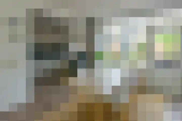 Jozef Israëlslaan 7 Nederhorst den Berg thumbnail 5