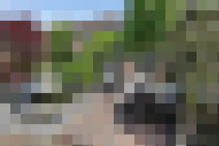 Jozef Israelslaan 74 Vlissingen thumbnail 26