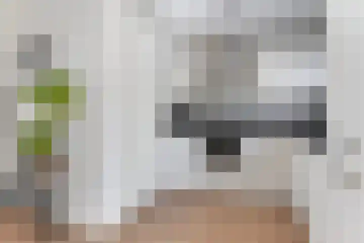 Jozef Israelslaan 74 Vlissingen thumbnail 6