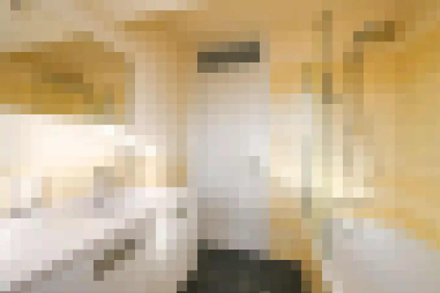 Jozef Israëlslaan 78 Rijswijk thumbnail 27