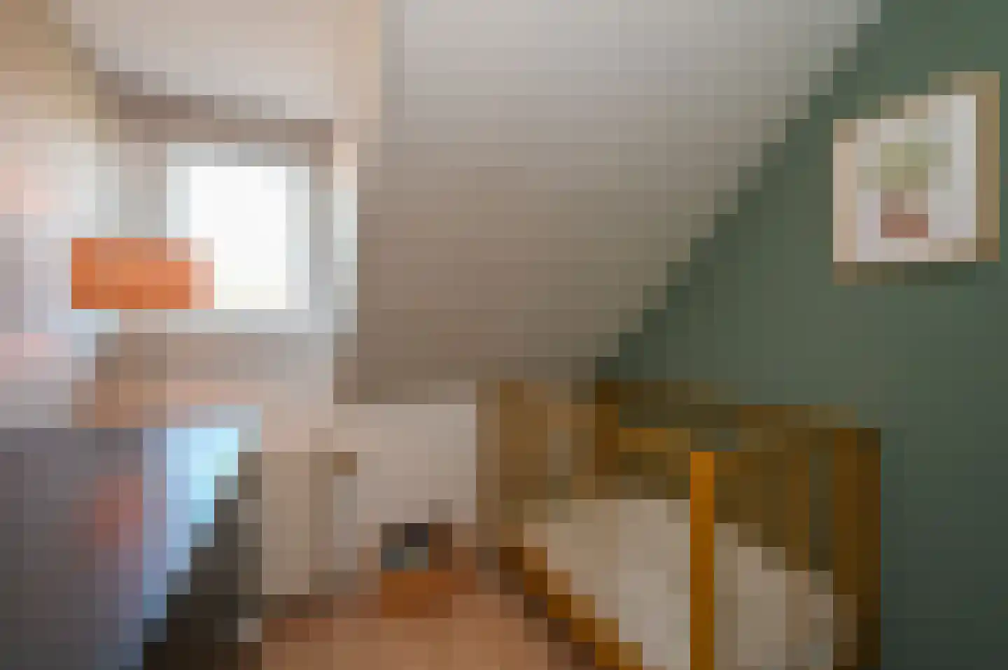 Jozef Israëlslaan 78 Rijswijk thumbnail 31