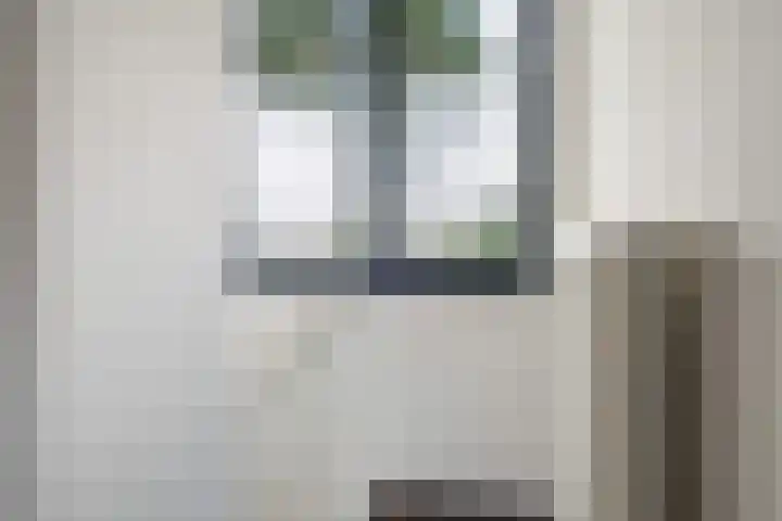 Jozef Israëlslaan 8 A 2 Woerden thumbnail 10