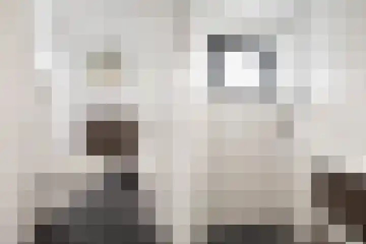 Jozef Israëlslaan 8 A 2 Woerden thumbnail 13
