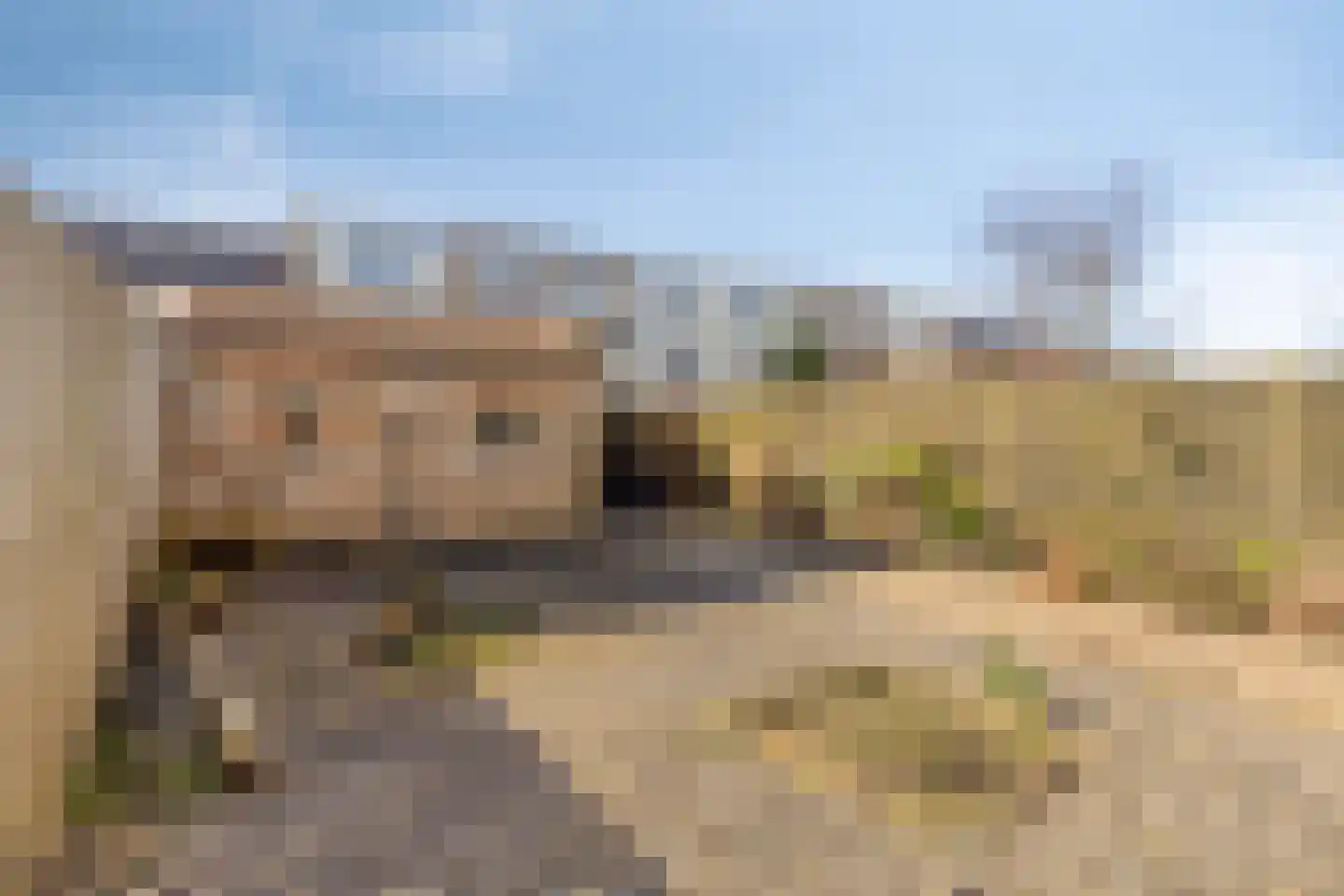 Jozef Israelslaan 84 Vlissingen thumbnail 26