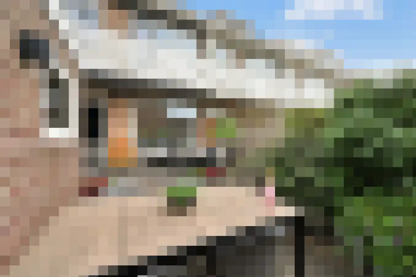Jozef Israëlslaan 92 Rijswijk thumbnail 27