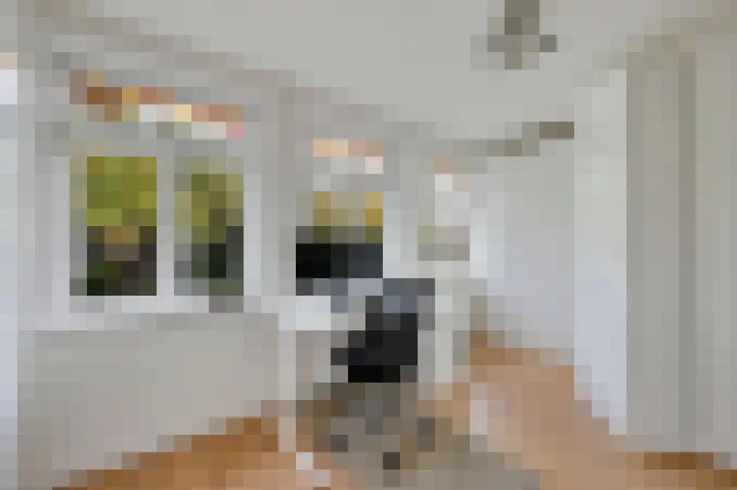 Jozef Israëlslaan 92 Rijswijk thumbnail 43