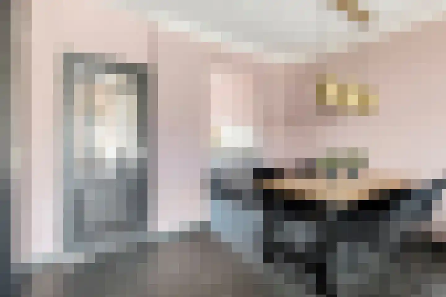 Jozef Israëlsplantsoen 16 Drunen thumbnail 15