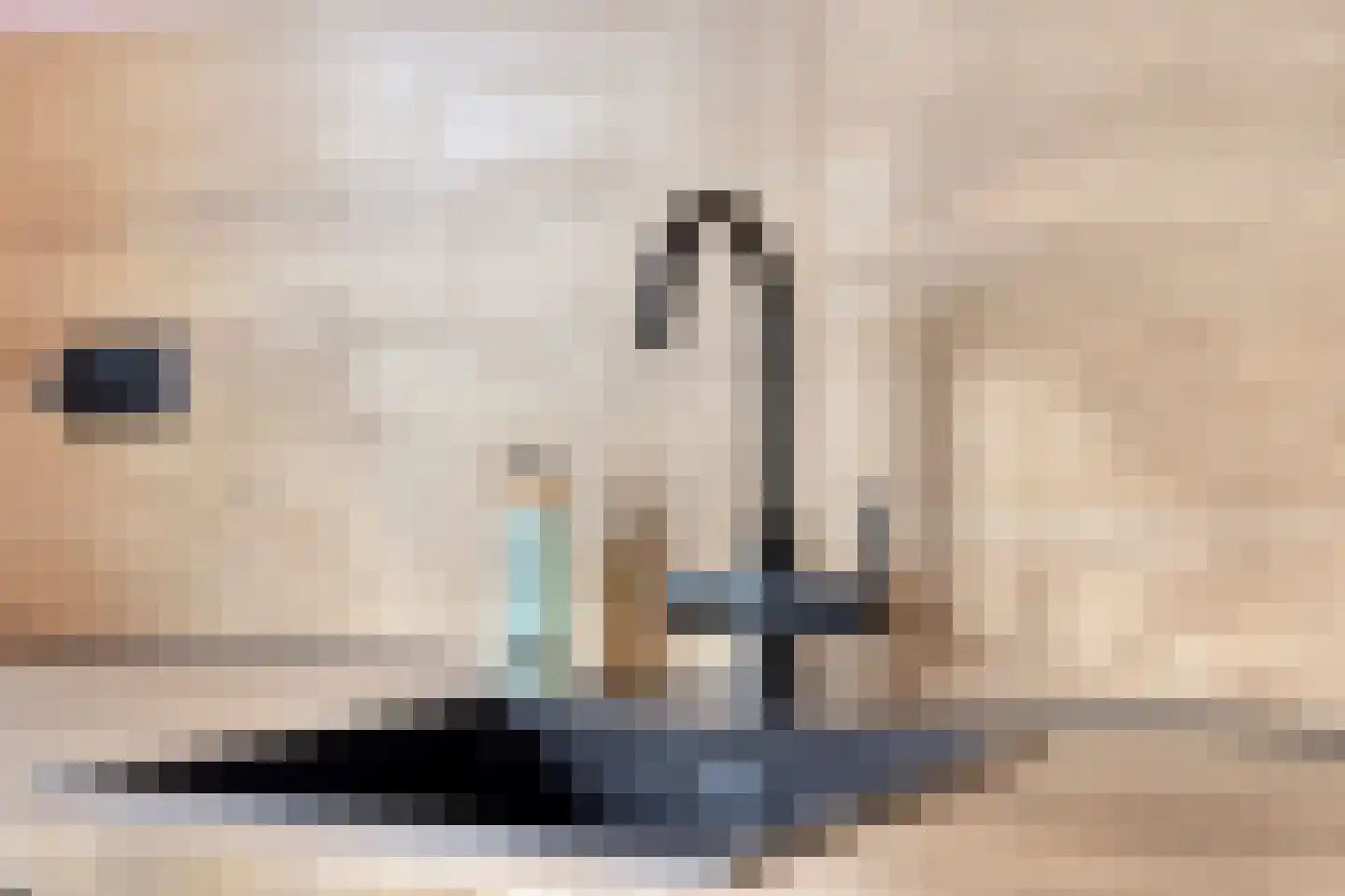 Jozef Israëlsplantsoen 16 Drunen thumbnail 20
