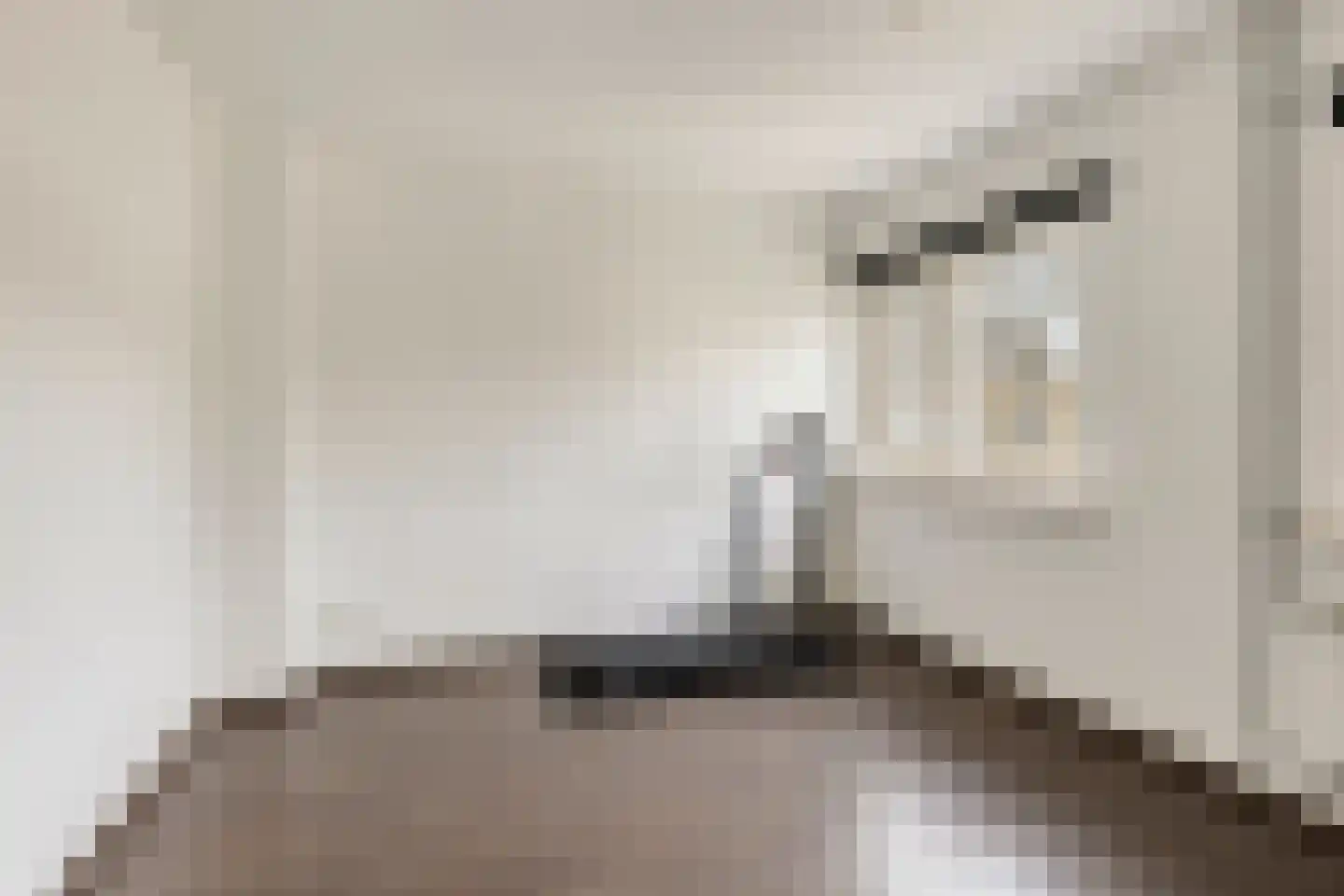 Jozef Israëlsplantsoen 16 Drunen thumbnail 23
